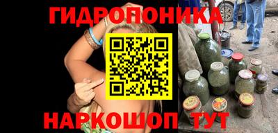 гидра Кимры